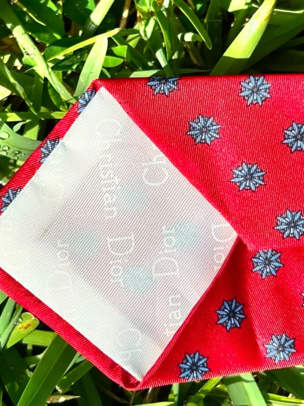 Christian Dior Monsieur Red Silk Tie Blue Floral Medallion Pattern54”x3” France.